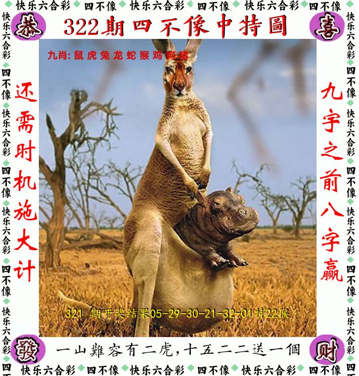 四不像 第322期