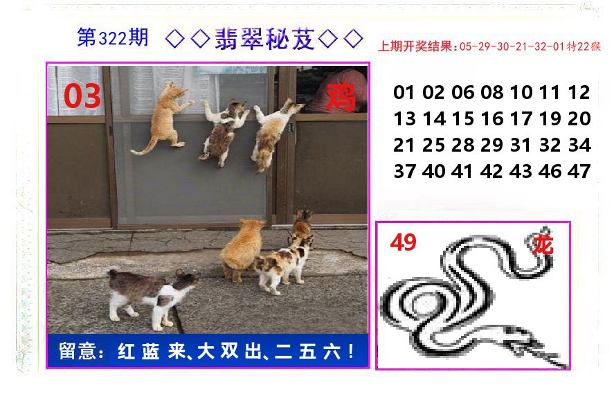 翡翠秘芨 第322期