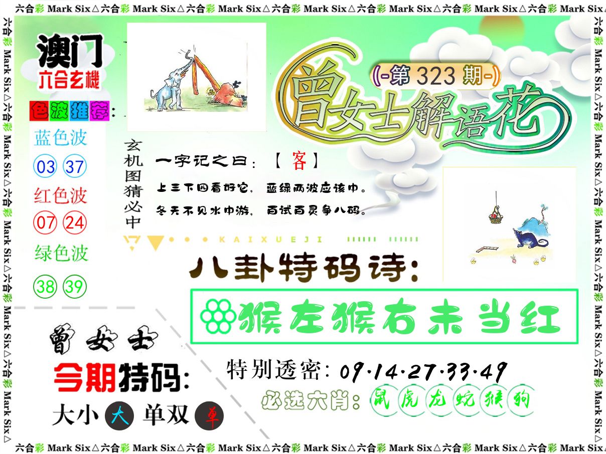 曾女士解语花 第323期