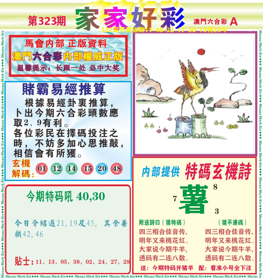 家家好彩A 第323期