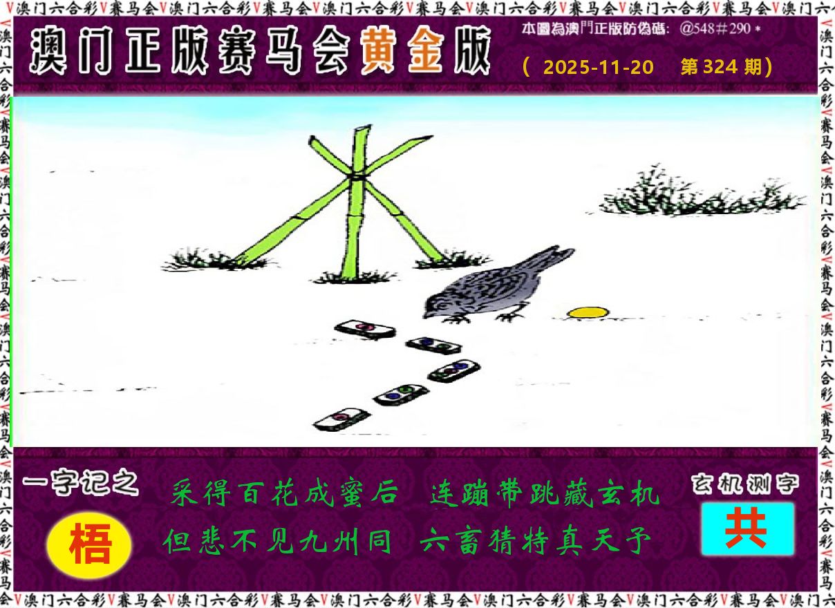赛马会黄金版 第324期
