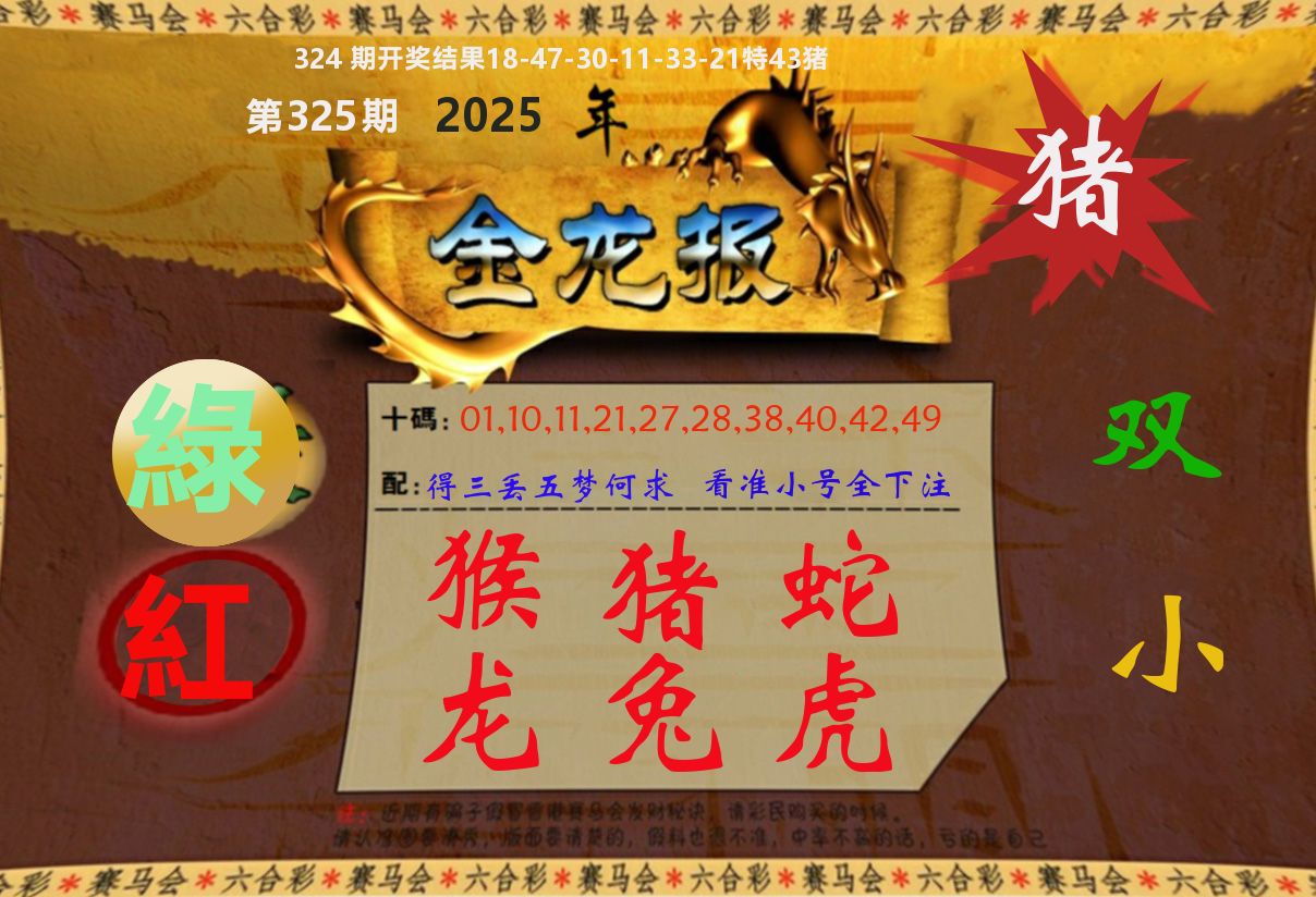 金龙报 第325期