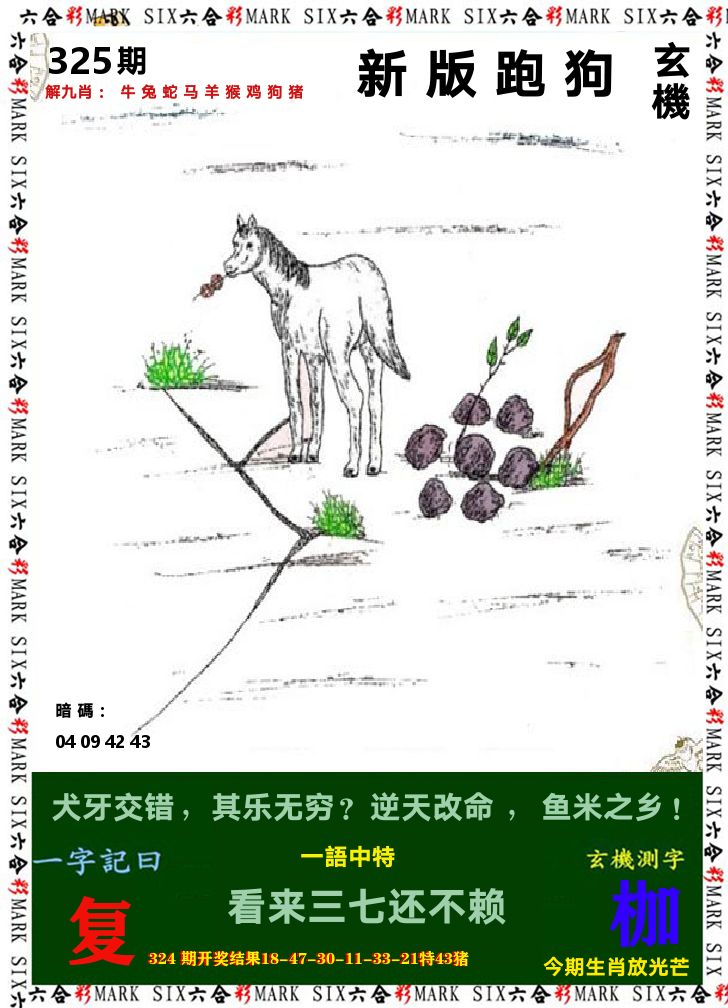 悟入其图 第325期