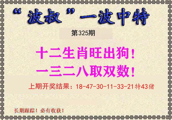 波叔中特 第325期