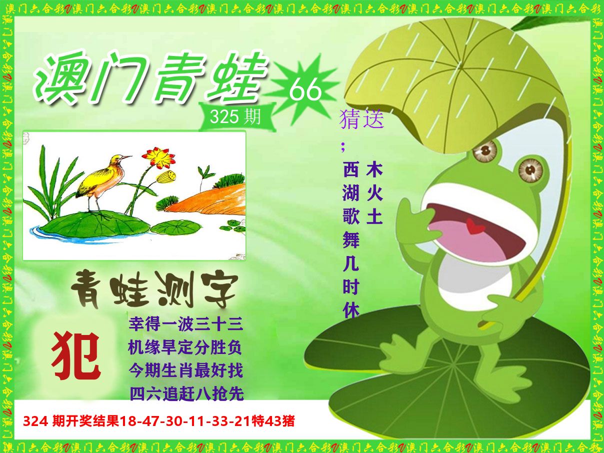 青蛙系列66 第325期