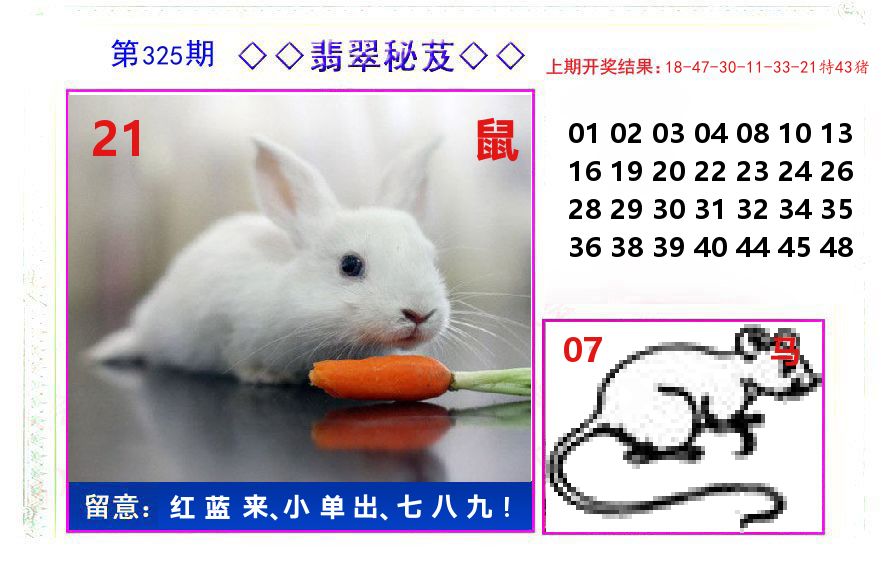 翡翠秘芨 第325期