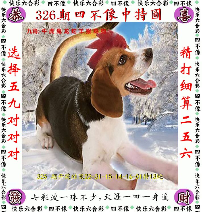 四不像 第326期