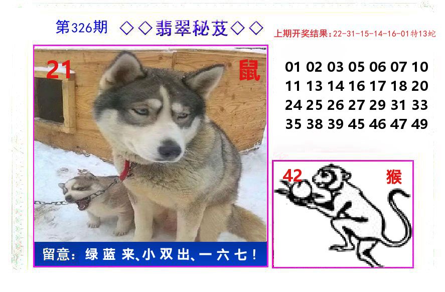 翡翠秘芨 第326期
