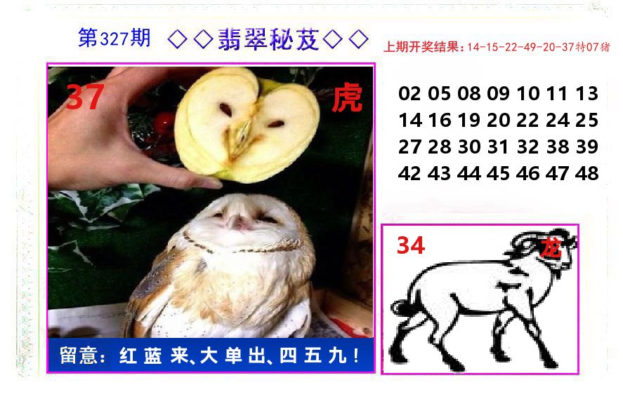翡翠秘芨 第327期