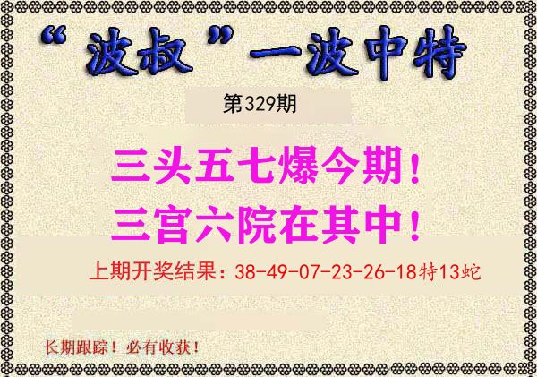 波叔中特 第329期