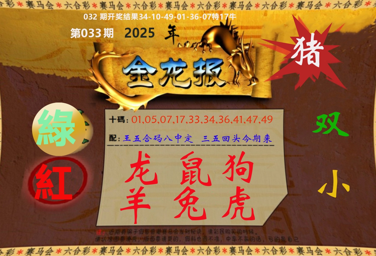 金龙报 第33期