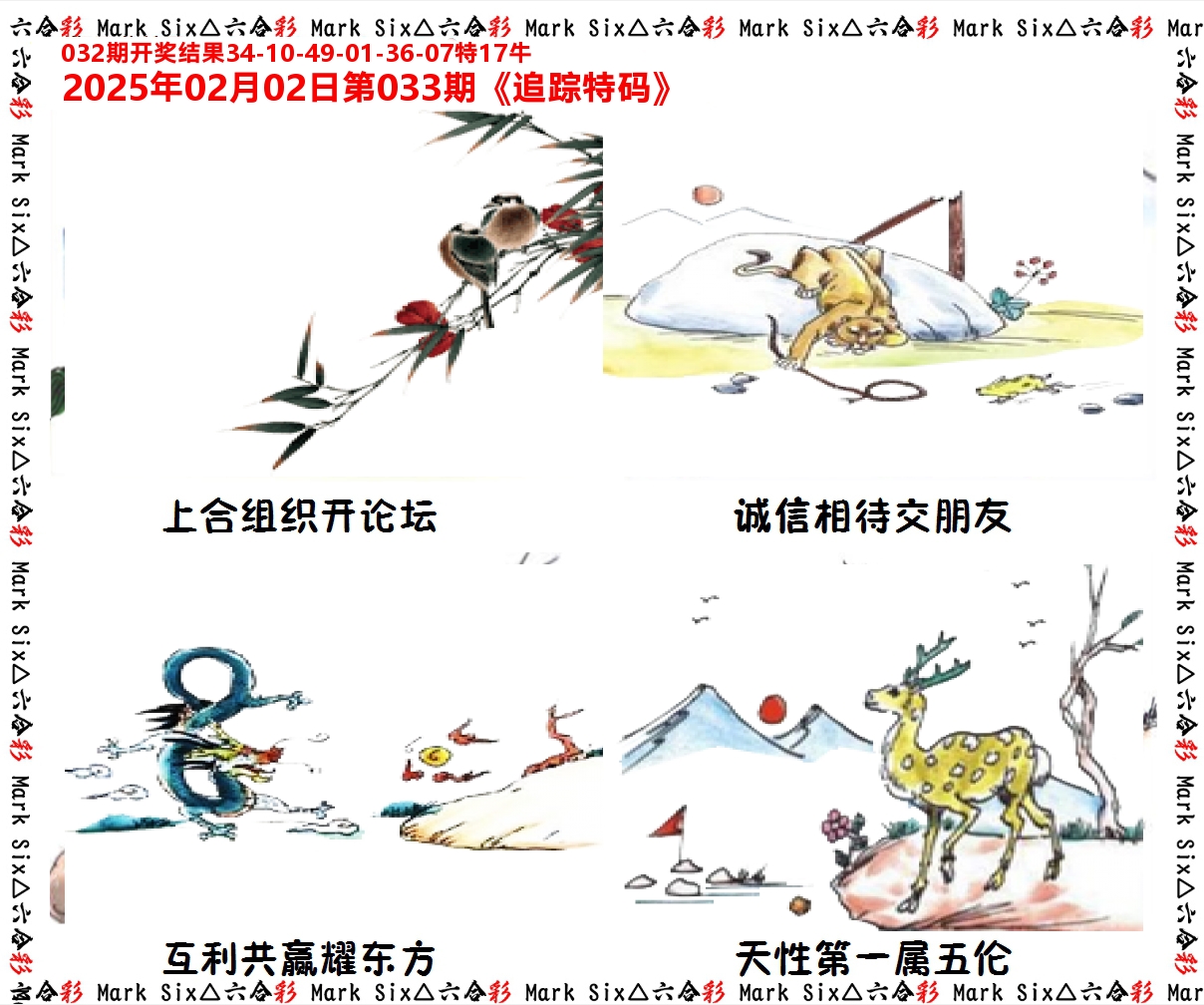 追踪特码 第33期