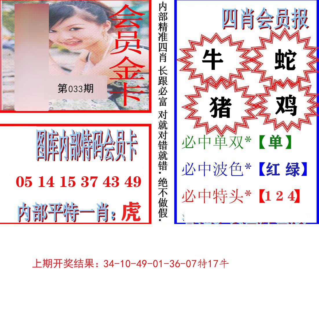 内部会员报 第33期