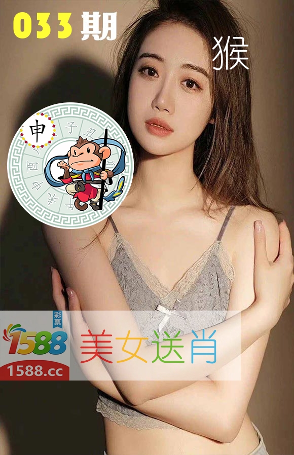 美女送肖 第33期