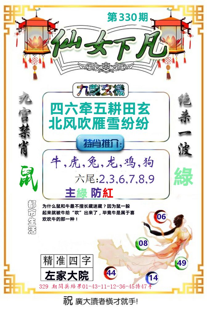 仙女下凡 第330期