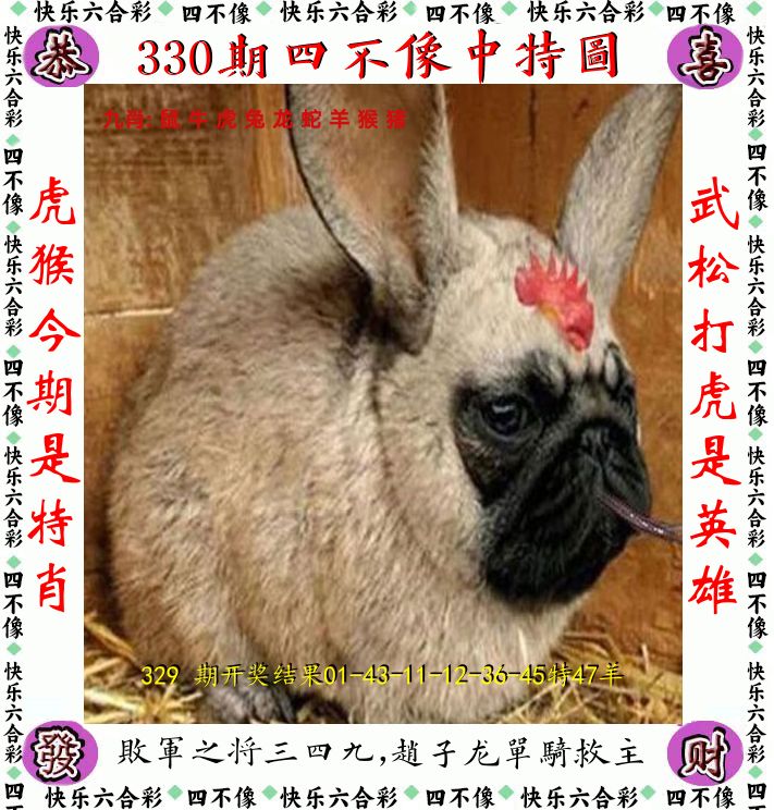 四不像 第330期