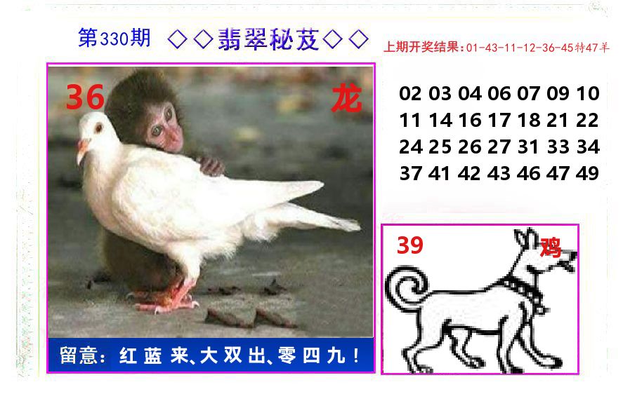 翡翠秘芨 第330期