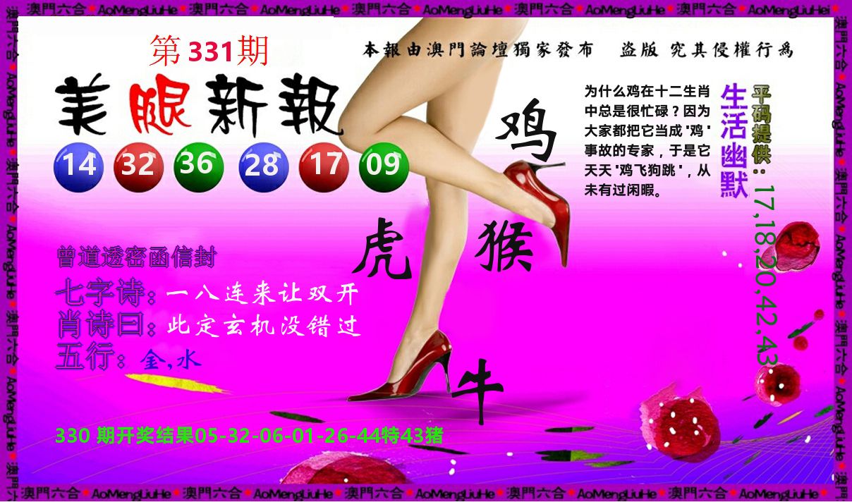 美腿新报 第331期