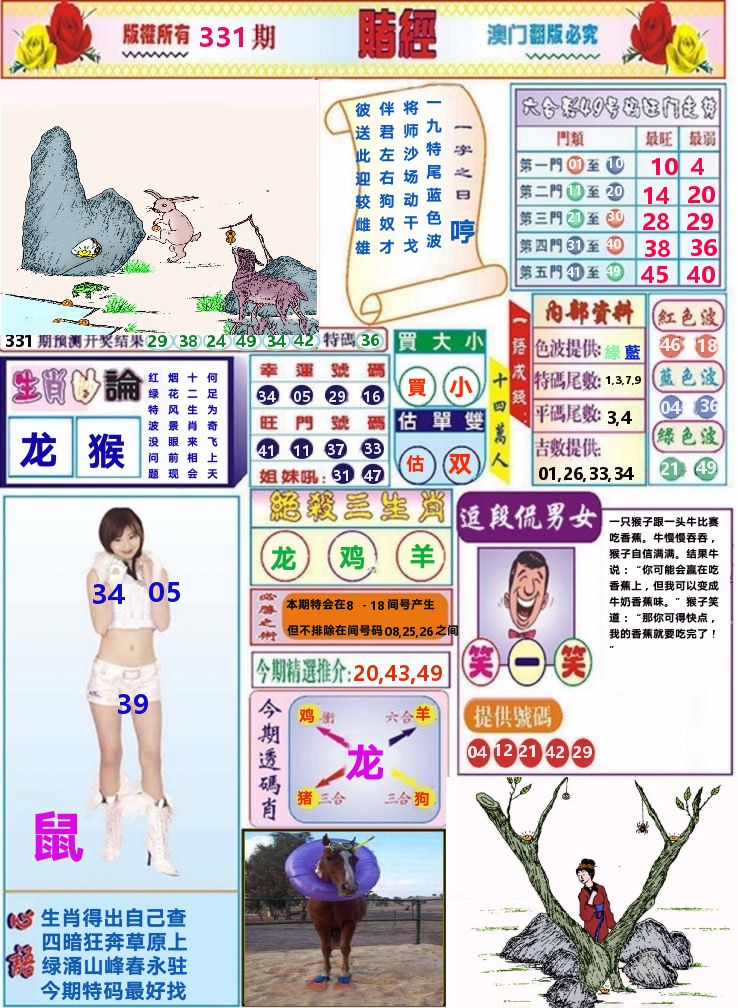 澳门赌经 第331期