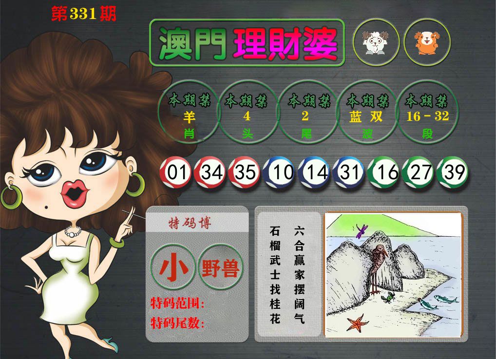 理财婆 第331期