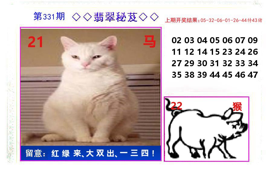 翡翠秘芨 第331期