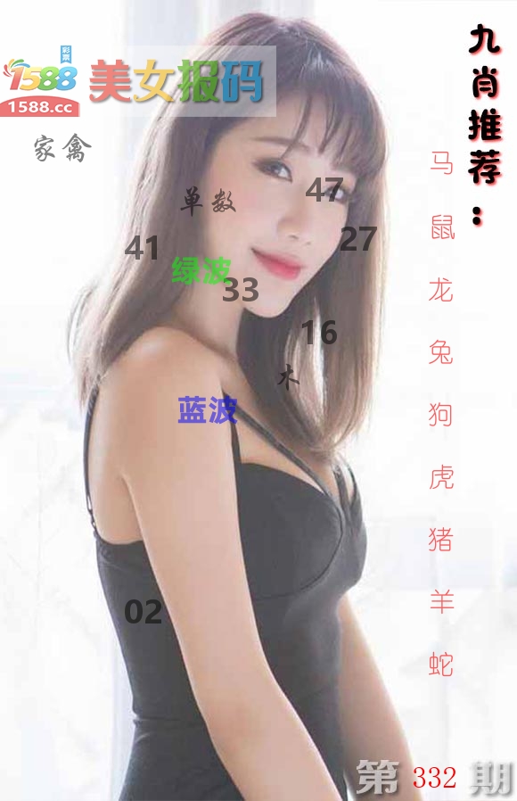 美女报码 第332期