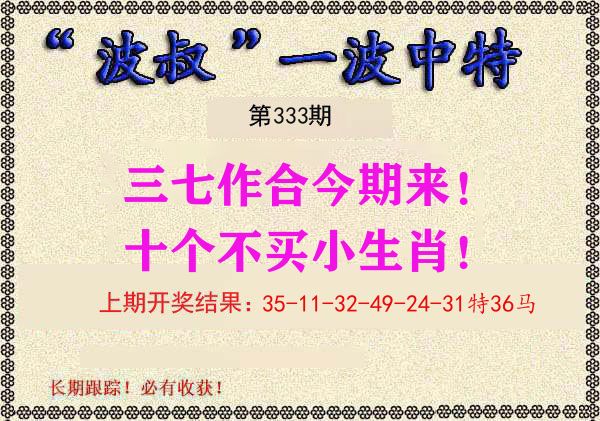 波叔中特 第333期
