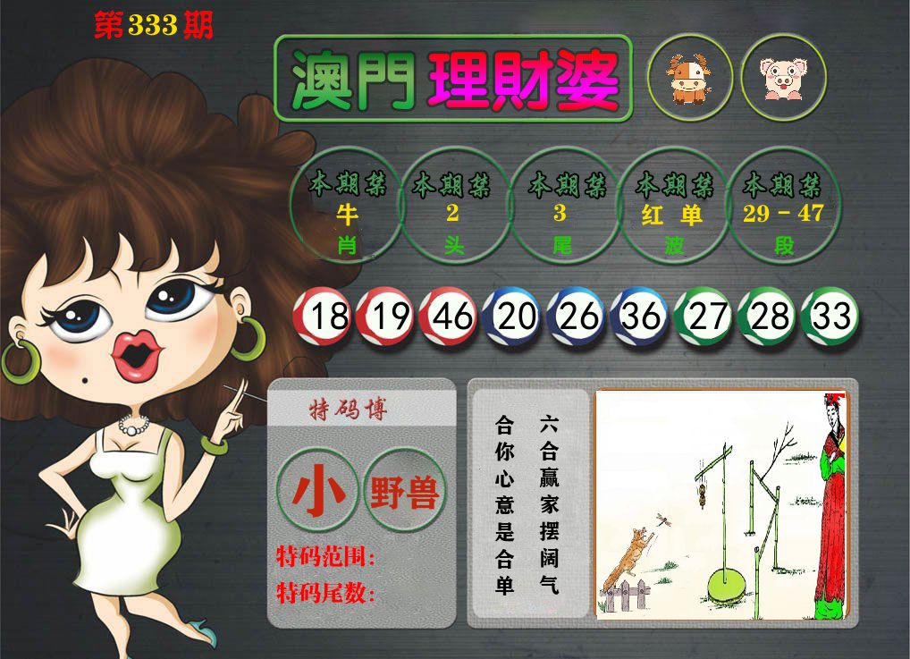 理财婆 第333期