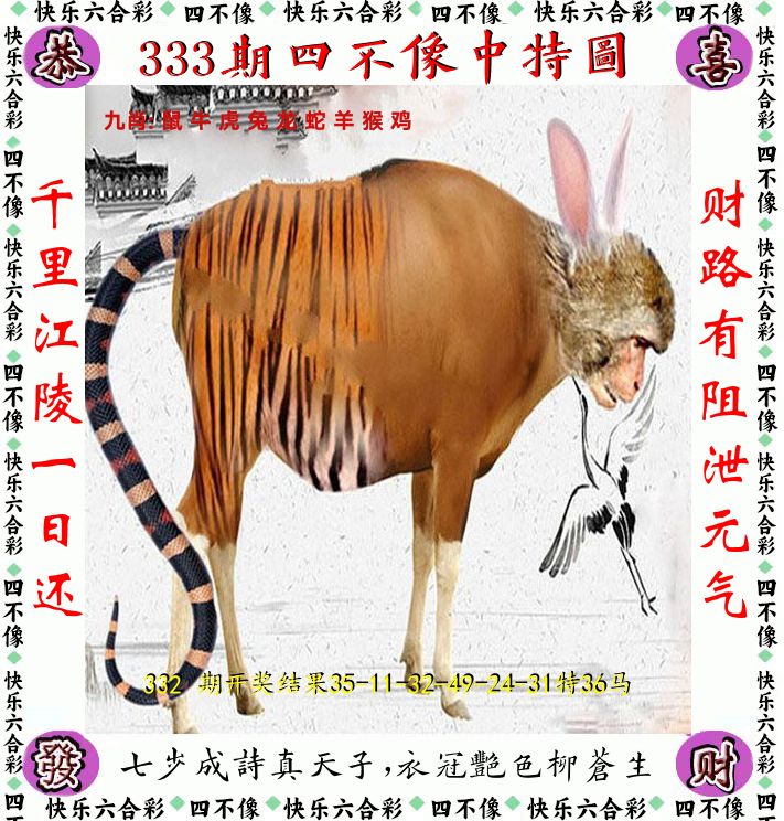四不像 第333期