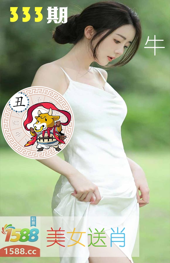美女送肖 第333期