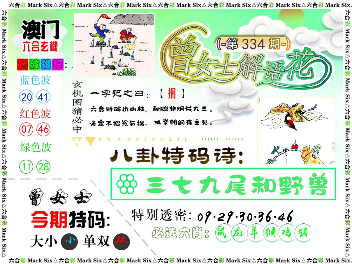 曾女士解语花 第334期