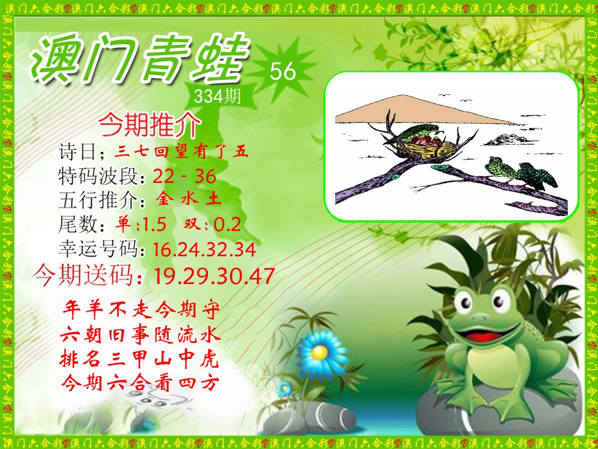 青蛙系列56 第334期