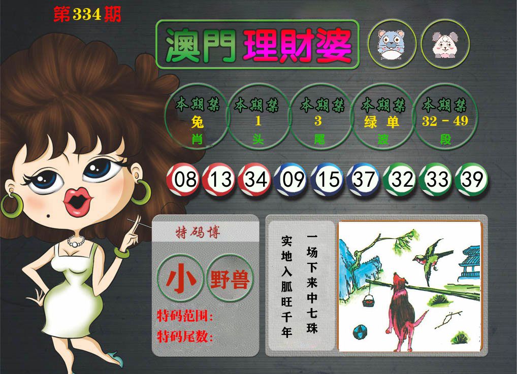 理财婆 第334期