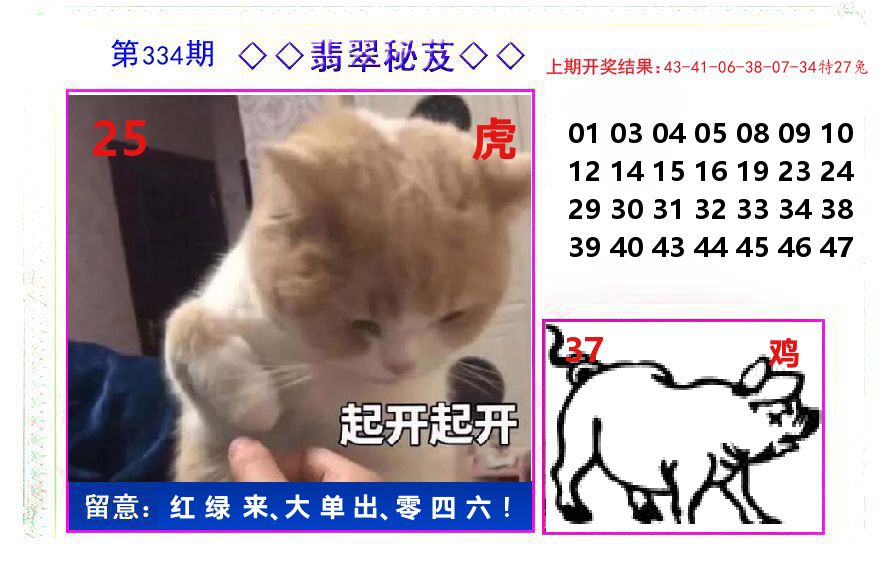 翡翠秘芨 第334期