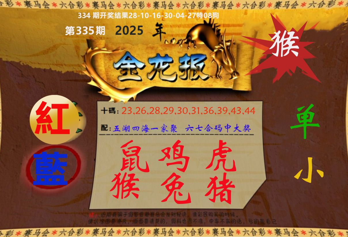 金龙报 第335期