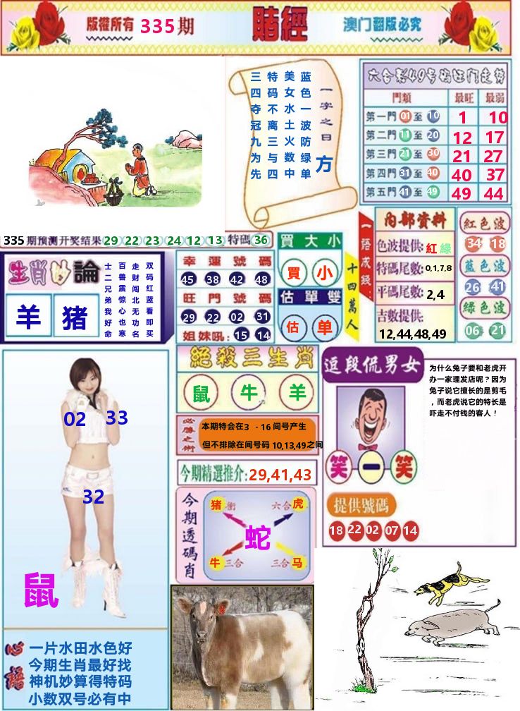 澳门赌经 第335期