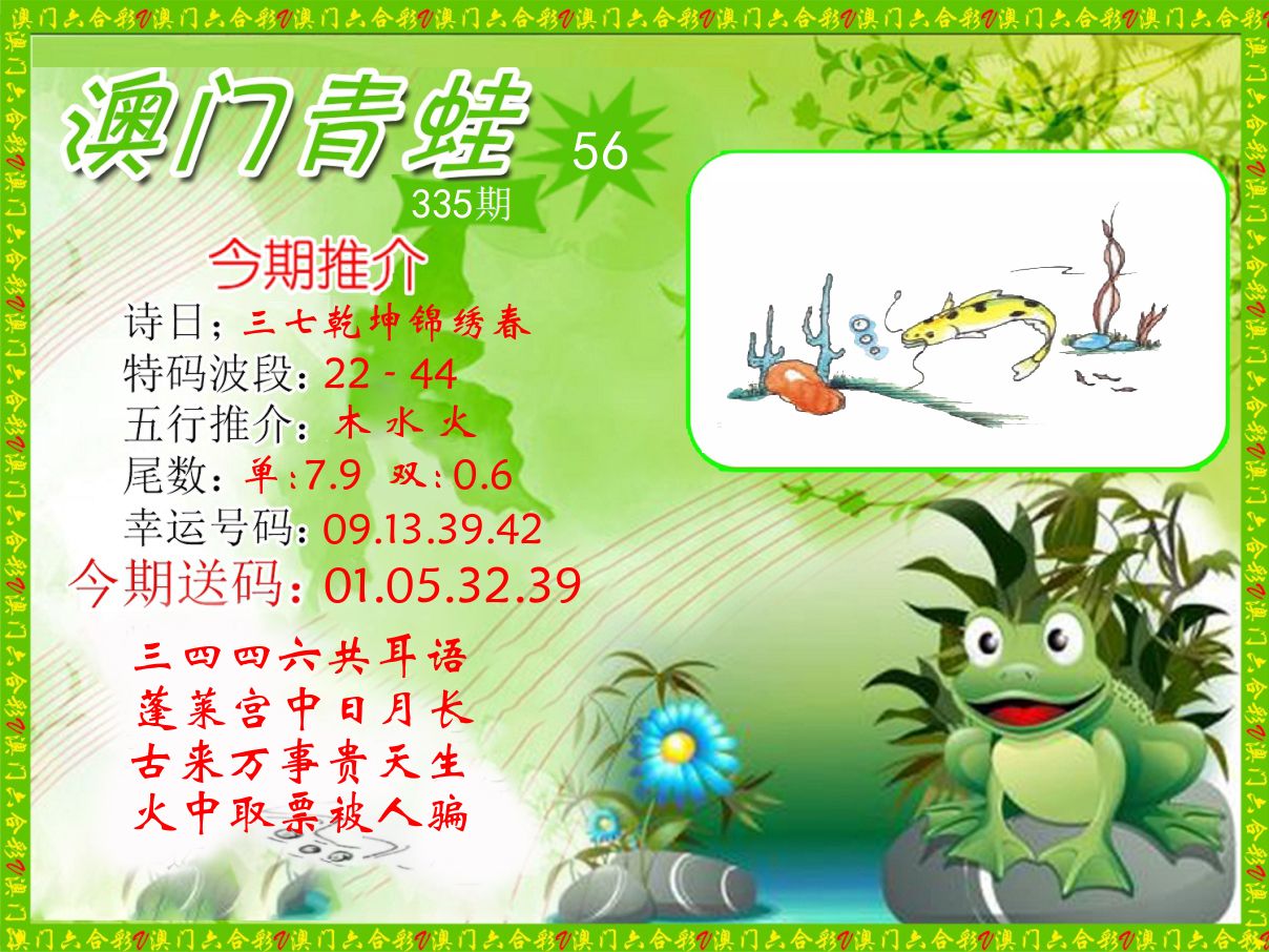 青蛙系列56 第335期
