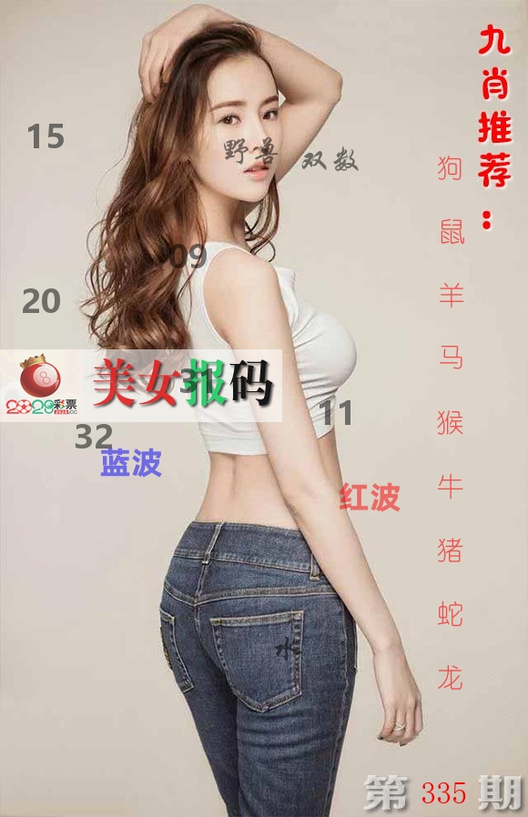 美女报码 第335期