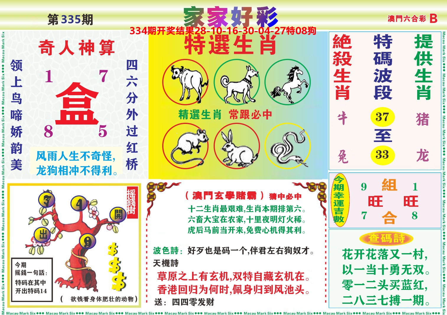 家家好彩B 第335期