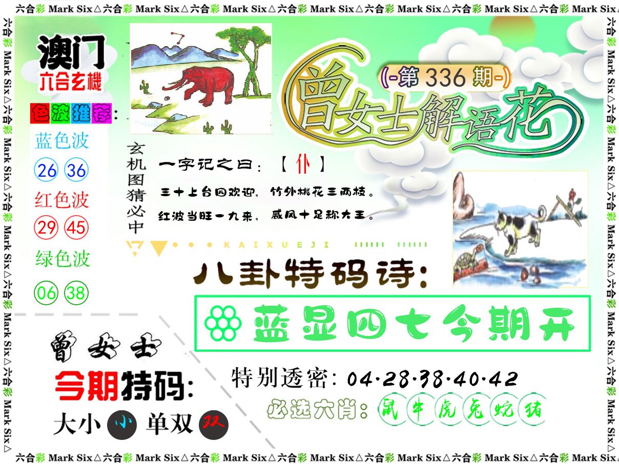 曾女士解语花 第336期