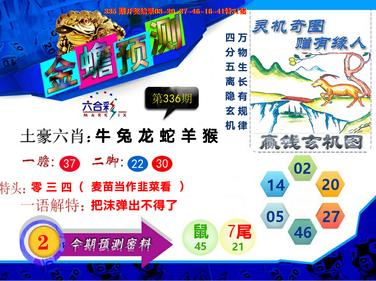金蟾预测 第336期