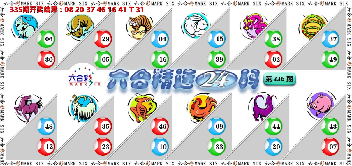 六合精选24码 第336期