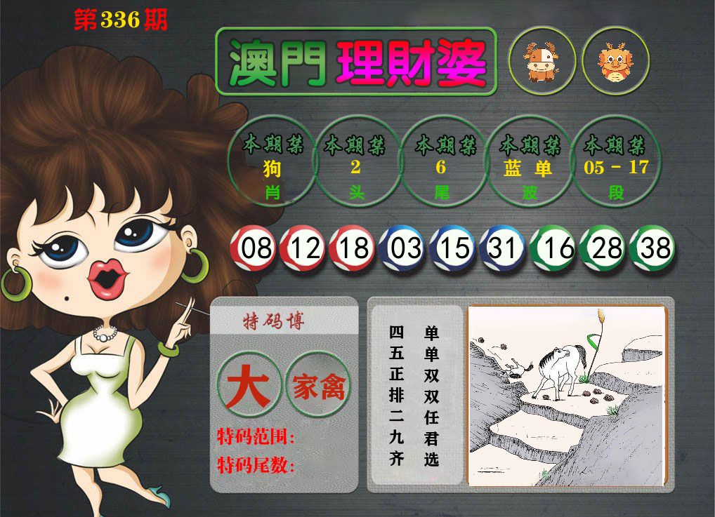 理财婆 第336期
