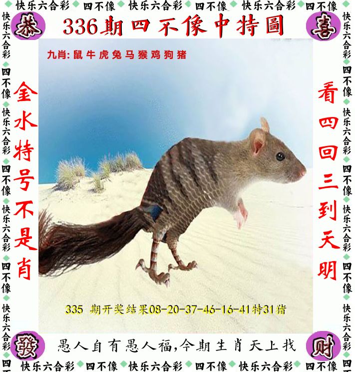 四不像 第336期
