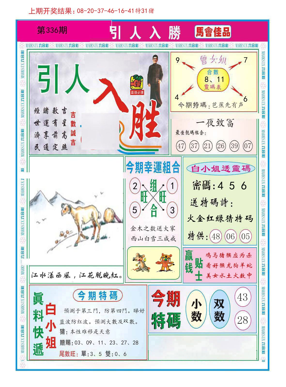引人入胜 第336期
