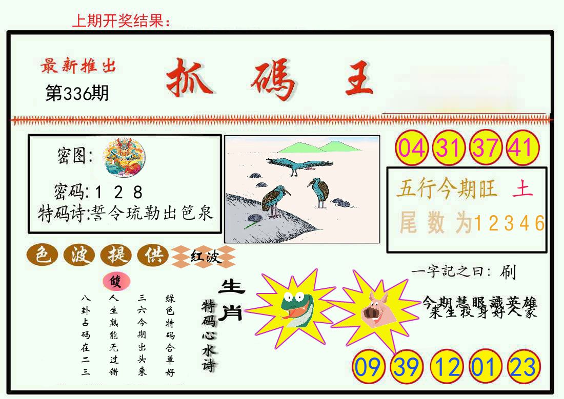 最新抓码王 第336期