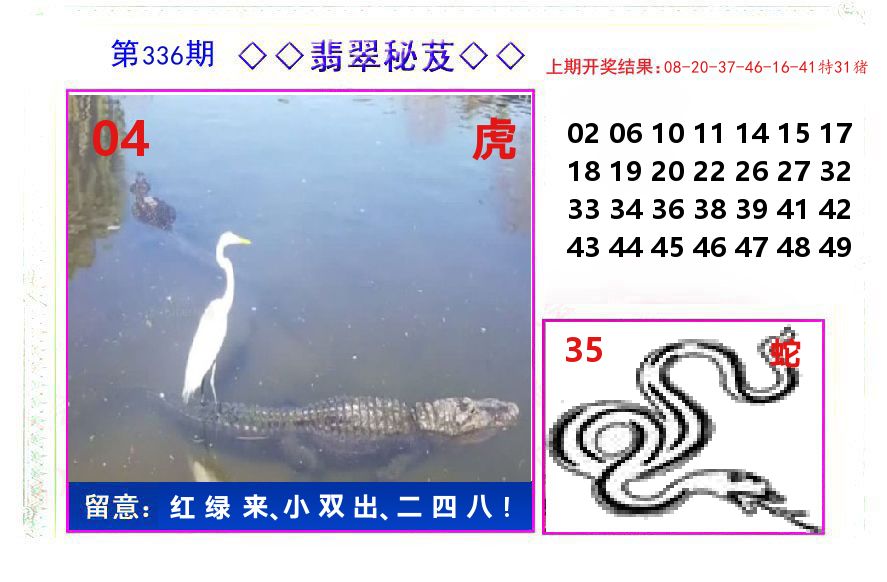翡翠秘芨 第336期