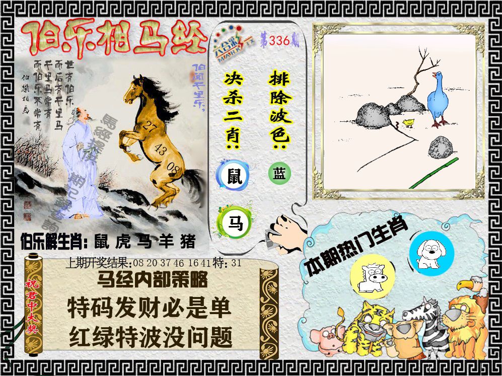 伯乐相马经 第336期