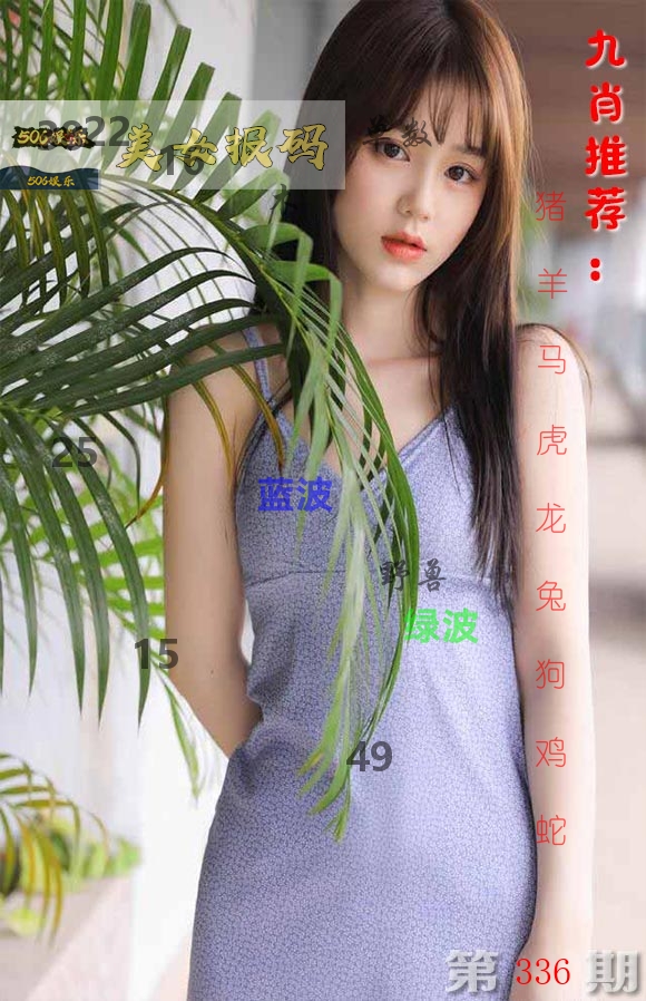 美女报码 第336期