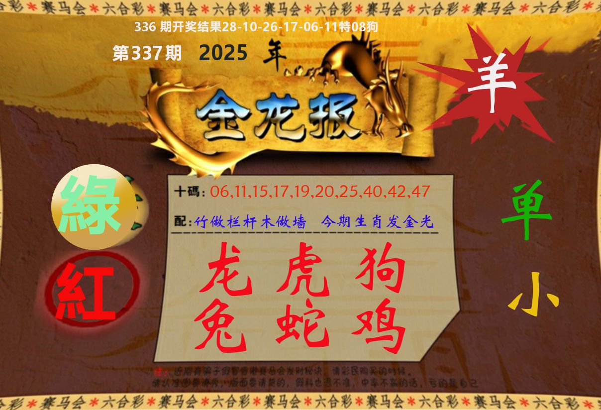 金龙报 第337期